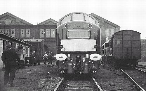 The Railways: 1co-Col Class 40